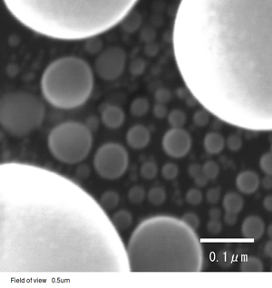 SE image of Sn on C sample with 30nA, 100kV, FoV=0.5μm