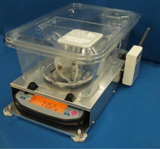 Automatic scale for animals（AD-1642A for mice）